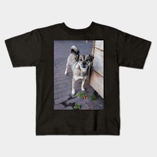 Dutch Dog Kids T-Shirt